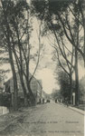 Gruss aus Osten a.d. Oste,Deichstrasse, gel. 1906