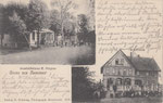 Gruss aus Hemmoor, Geschäftshaus H.Jürgens, Schulhaus, gel. 1905