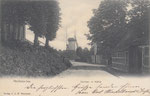 Neuhaus - Oste, Deichstr. m. Mühle, gel. 1906